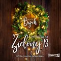 Literatura piękna, beletrystyka: Gwiazdka na Zielonej 13 - audiobook