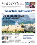 polityka, społeczno-informacyjne: Gazeta Krakowska – e-wydanie – 98/2024
